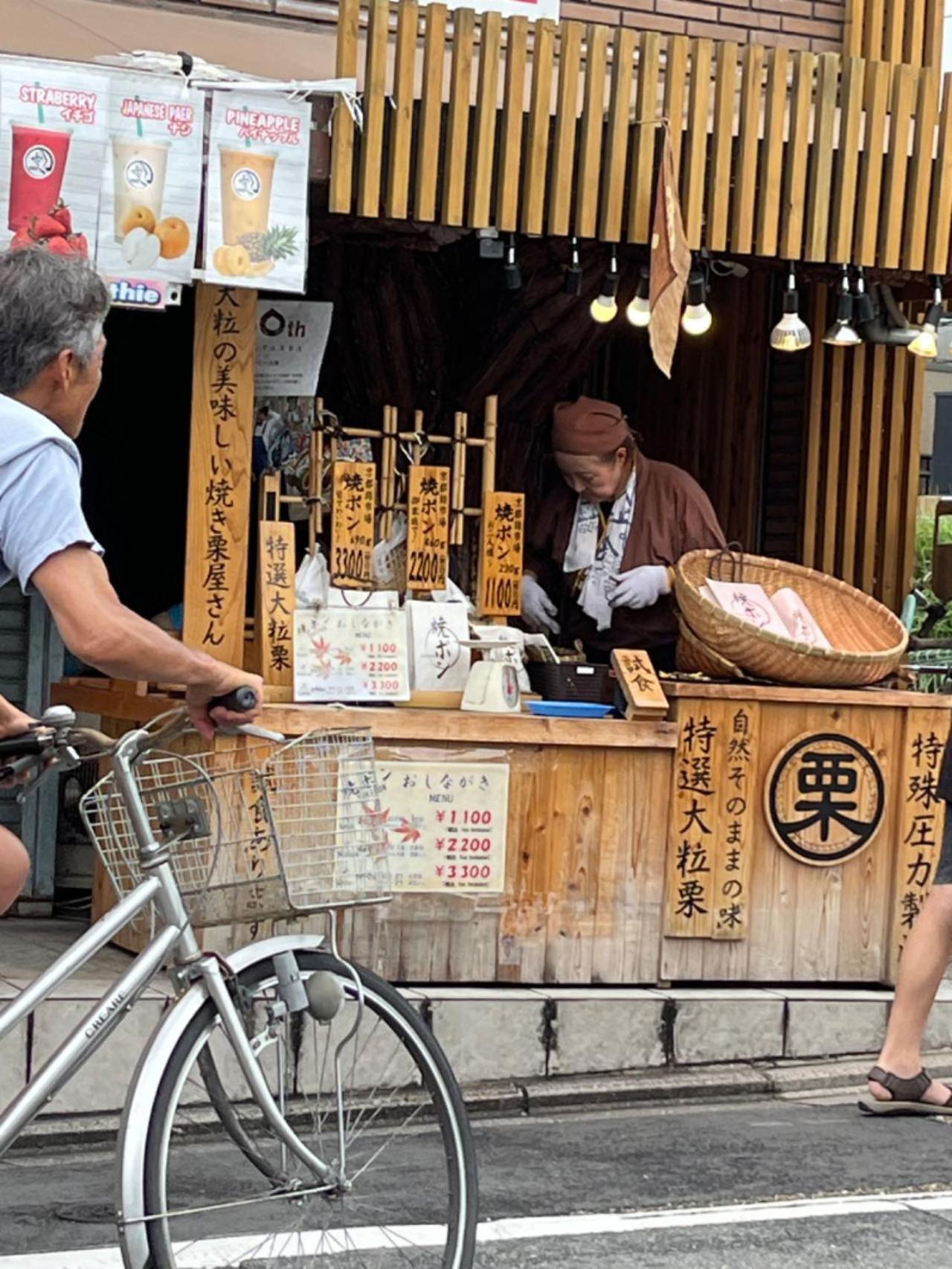 静雅の宿 교토 외부 사진