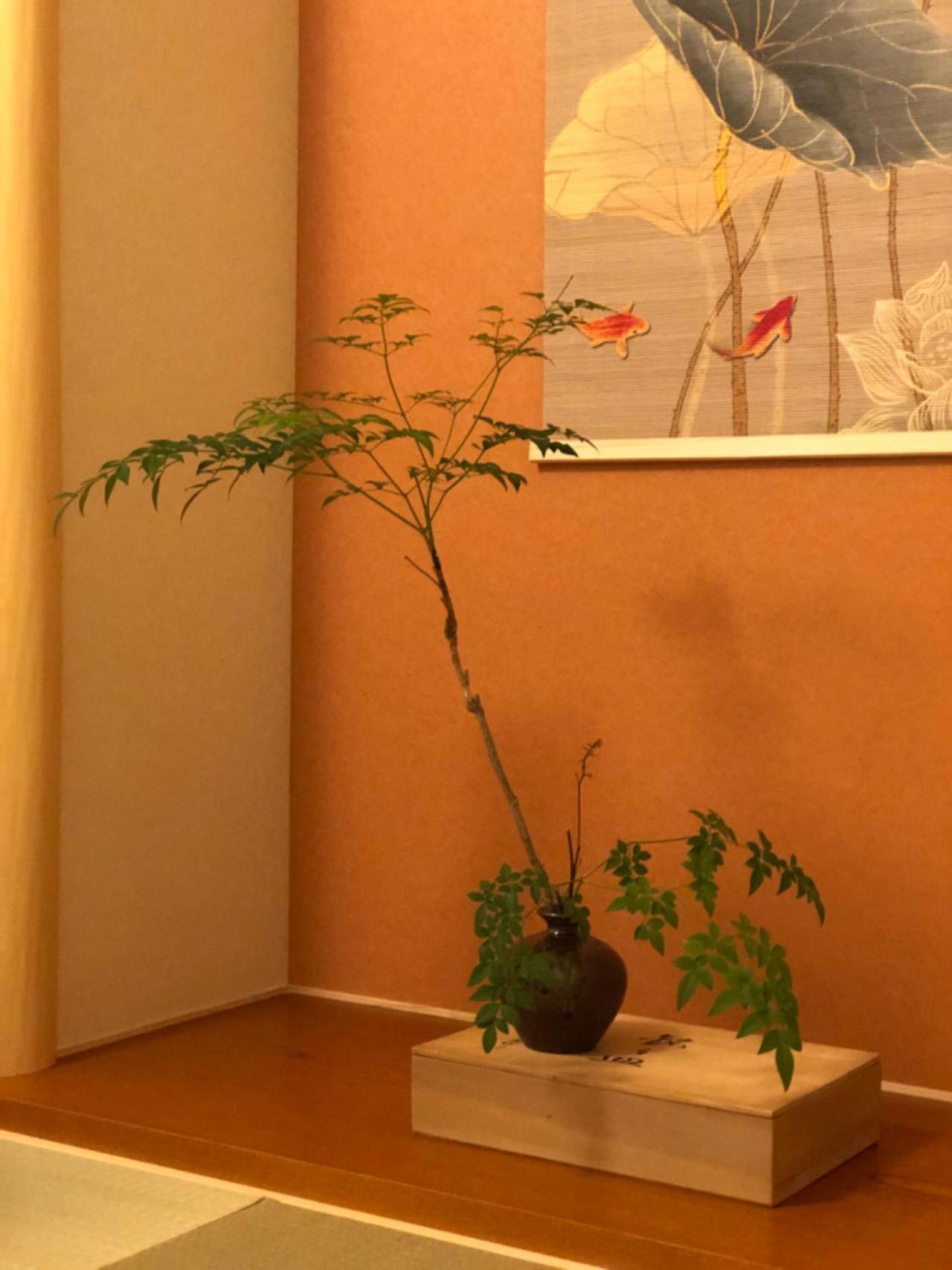 静雅の宿 교토 외부 사진
