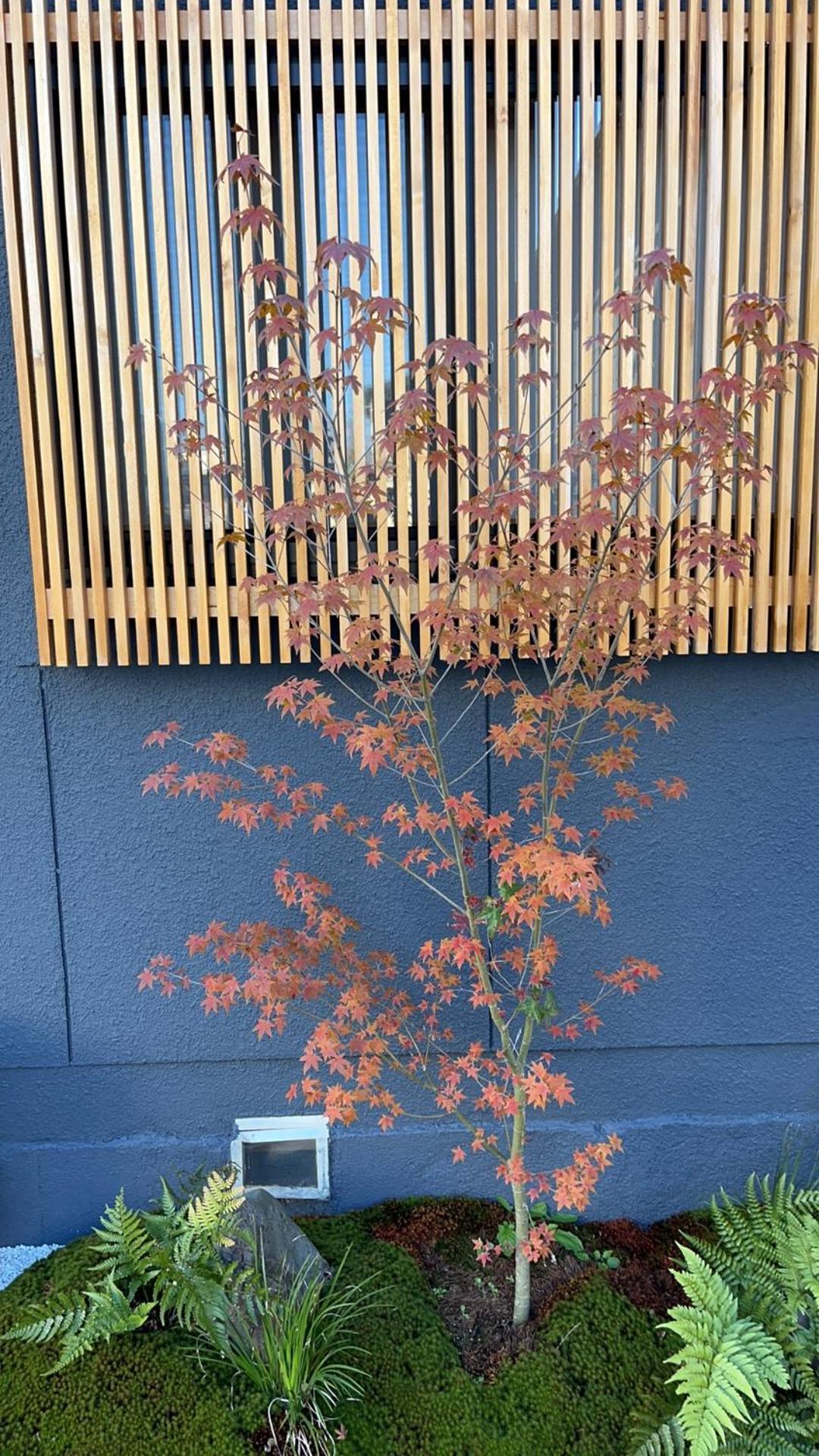 静雅の宿 교토 외부 사진